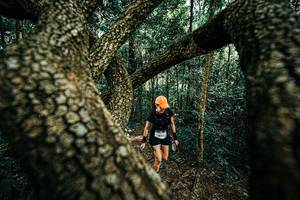 BIB: 
                            <button type="button" onclick="openModal(25394200)" class="btn btn-primary btn-sm float-right btn-popup" data-toggle="modal" data-target=".modal-high-quality">
                        <i class="fas fa-shopping-cart"></i> Add to Cart
                    </button>
                                            <button type="button" onclick="isThisMe(25394200, true)" class="btn btn-success btn-sm float-right btn-popup btn-isme hidden" data-toggle="tooltip" data-placement="bottom" title="นี่คือรูปของคุณใช่ไหม คลิกที่นี่เพื่อเอาเข้าอัลบั้ม">
                        <i class="fas fa-plus"></i> Add to album
                    </button>
                    <button type="button" onclick="isThisMe(25394200, false)" class="btn btn-warning btn-sm float-right btn-popup btn-isnotme hidden">
                        <i class="fas fa-ban"></i> Remove from album
                    </button>